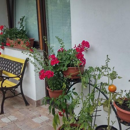 Dob Darja Guesthouse מראה חיצוני תמונה