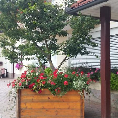 Dob Darja Guesthouse מראה חיצוני תמונה