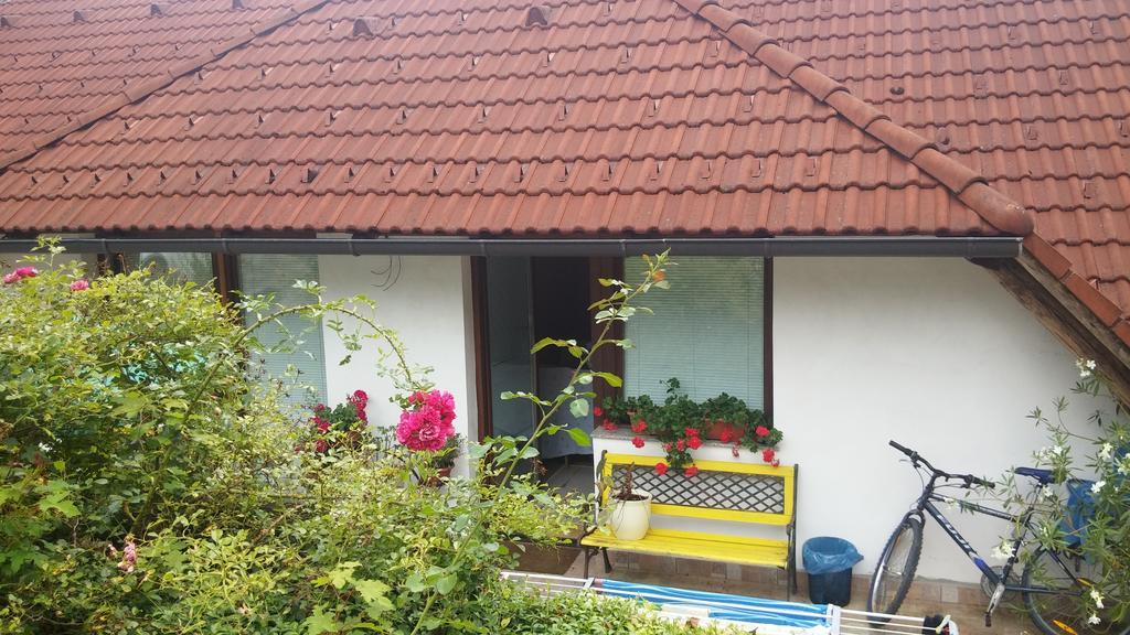 Dob Darja Guesthouse מראה חיצוני תמונה